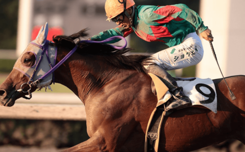 競馬の鞭は効果があるのか