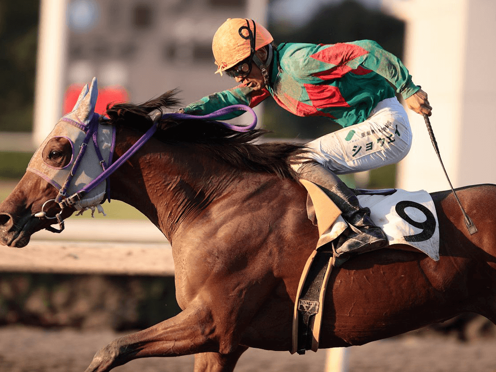 競馬の鞭は効果があるのか