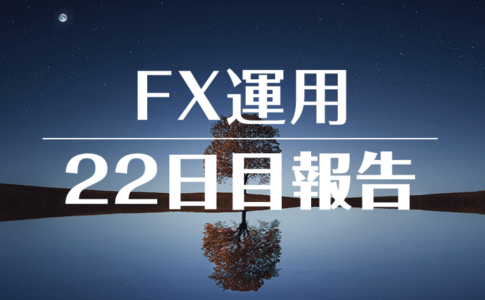 FXスワップ運用