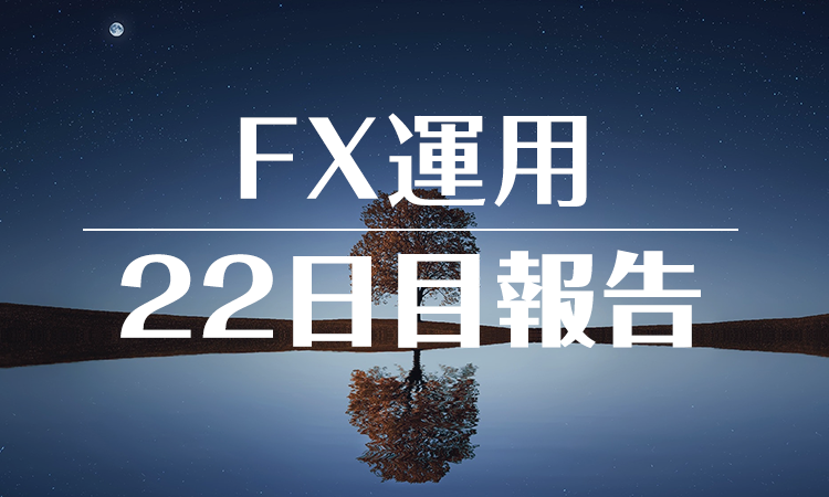 FXスワップ運用