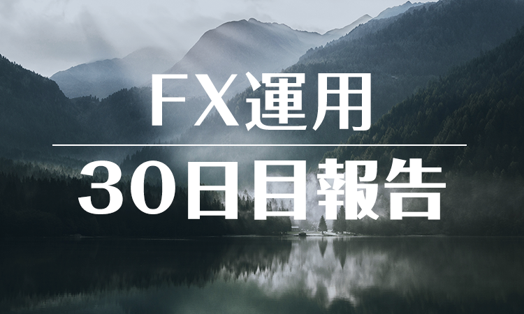 FXスワップ運用