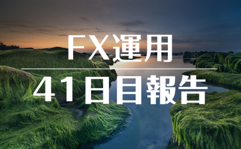 FXスワップ運用