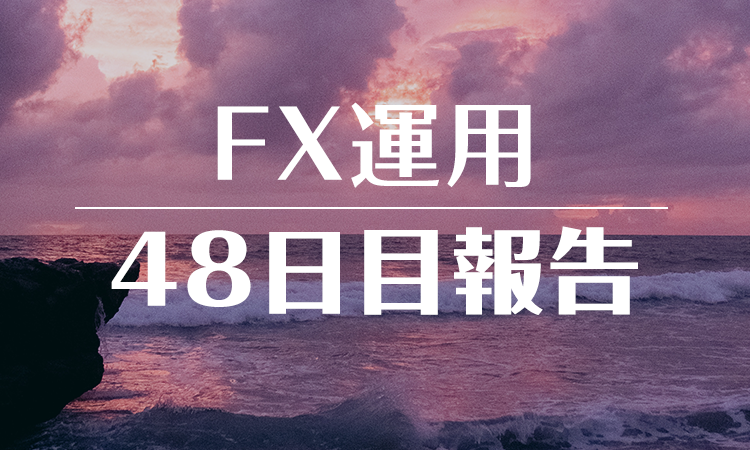 FXスワップ運用48