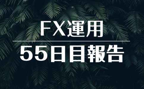 FXスワップ運用55