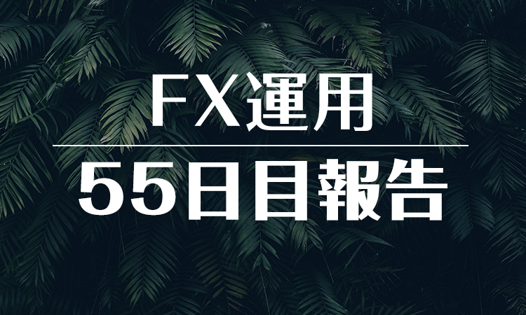 FXスワップ運用55