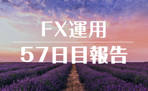 FXスワップ運用57