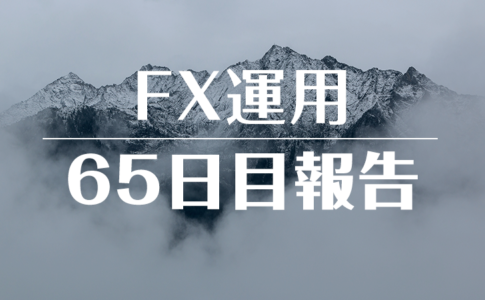 FXスワップ運用65