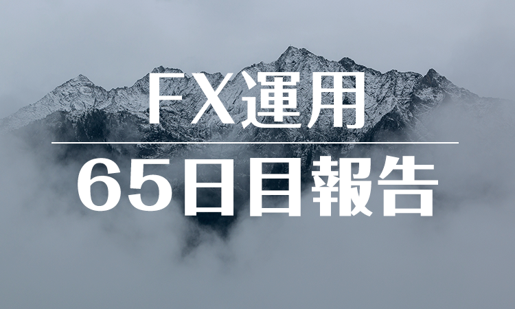 FXスワップ運用65