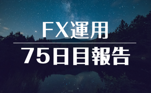 FXスワップ運用75