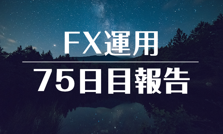 FXスワップ運用75