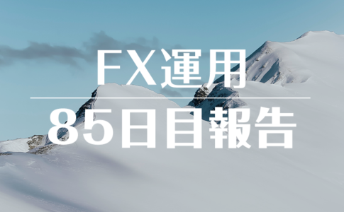 FXスワップ運用85