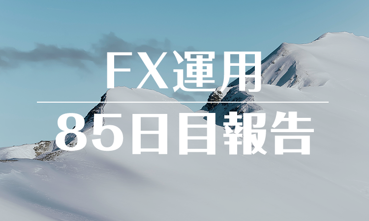 FXスワップ運用85