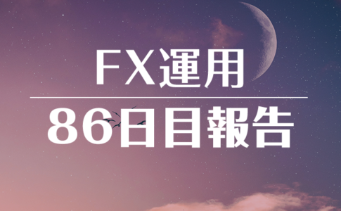 FXスワップ運用86