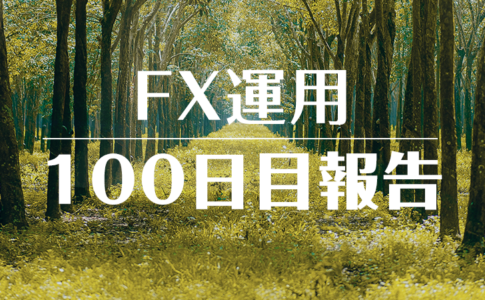 FXスワップ運用100