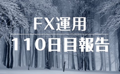 FXスワップ運用110