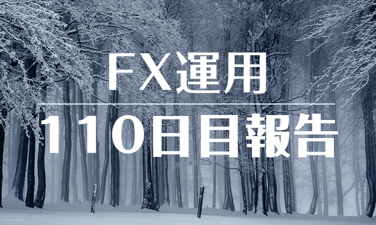 FXスワップ運用110