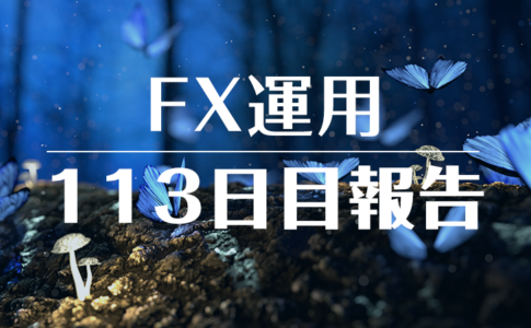 FXスワップ運用113