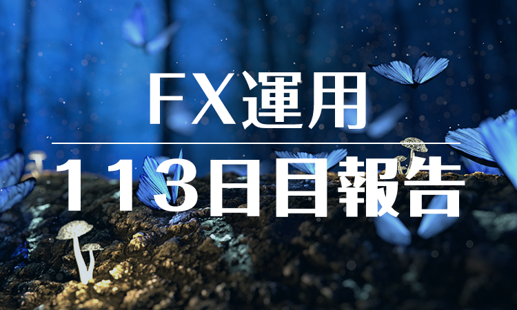 FXスワップ運用113