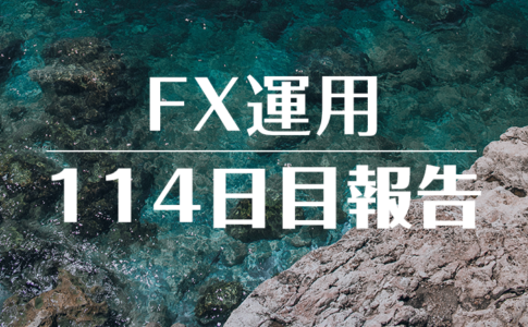 FXスワップ運用114