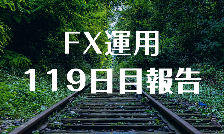 FXスワップ運用119