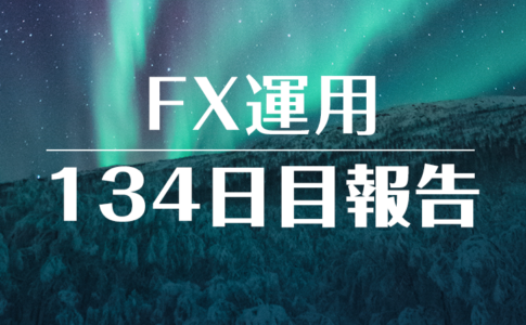 FXスワップ運用134