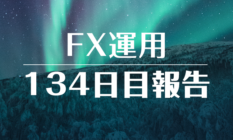 FXスワップ運用134