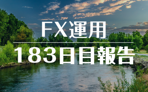 FXスワップ運用183