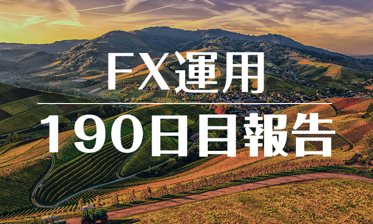 FXスワップ運用190