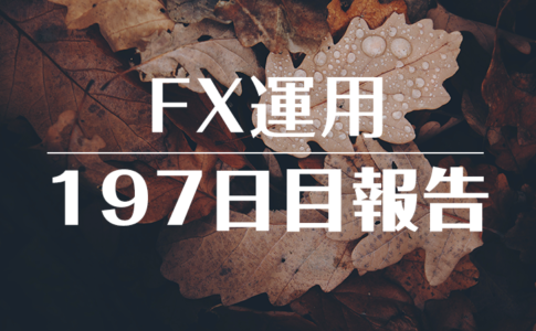 FXスワップ運用197