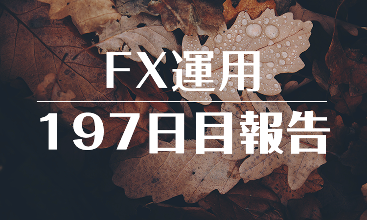 FXスワップ運用197