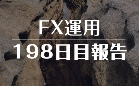 FXスワップ運用198