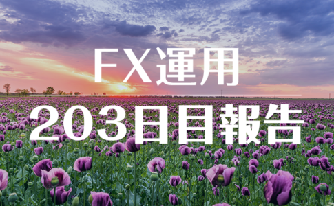 FXスワップ運用203