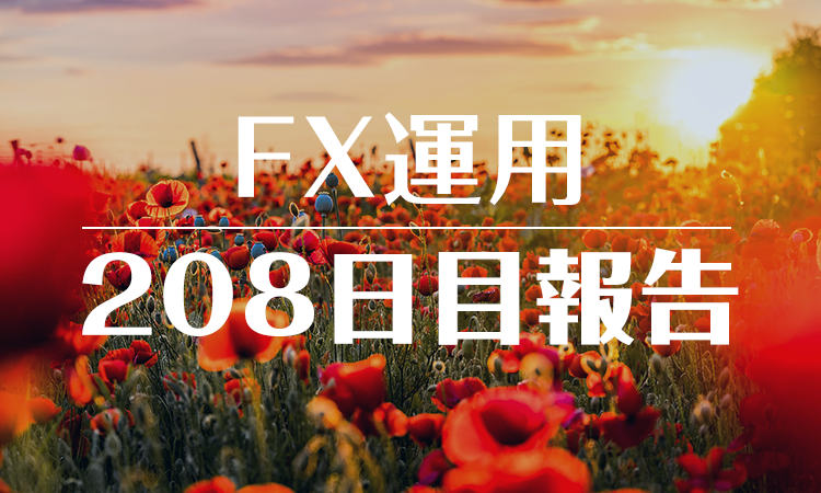 FXスワップ運用208