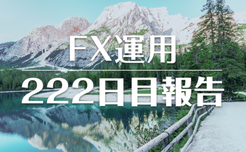 FXスワップ運用222