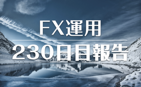 FXスワップ運用230