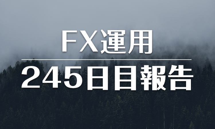 FXスワップ運用245