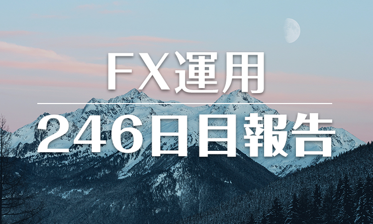 FXスワップ運用246