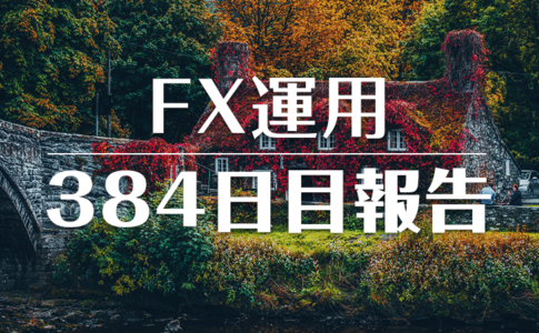 FXスワップ運用384