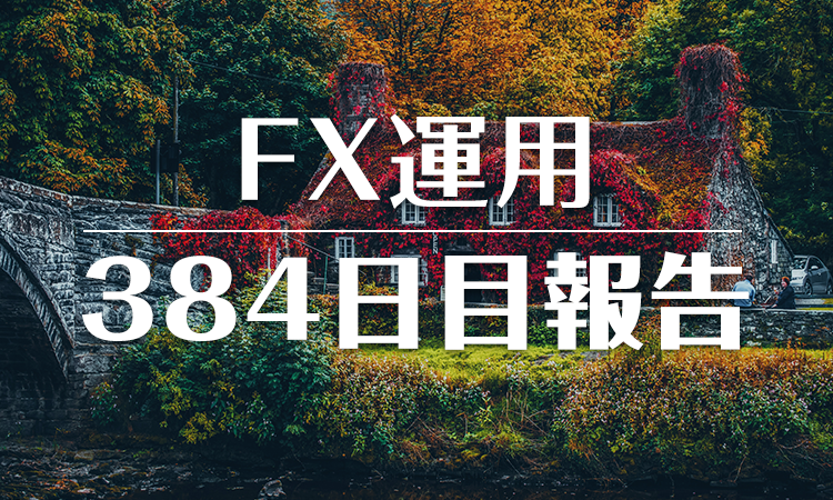 FXスワップ運用384