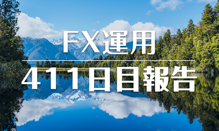 FXスワップ運用411