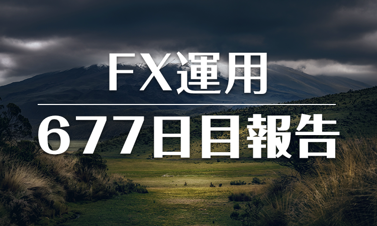 FXスワップ運用677