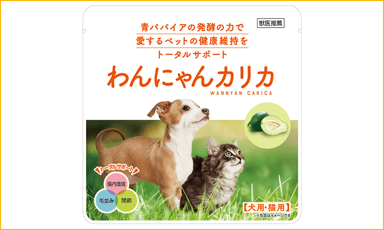わんにゃんカリカ