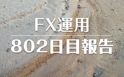 FXスワップ運用802